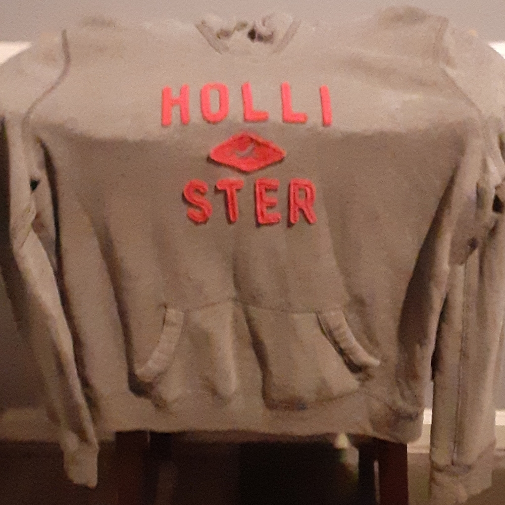 Hollister sweater